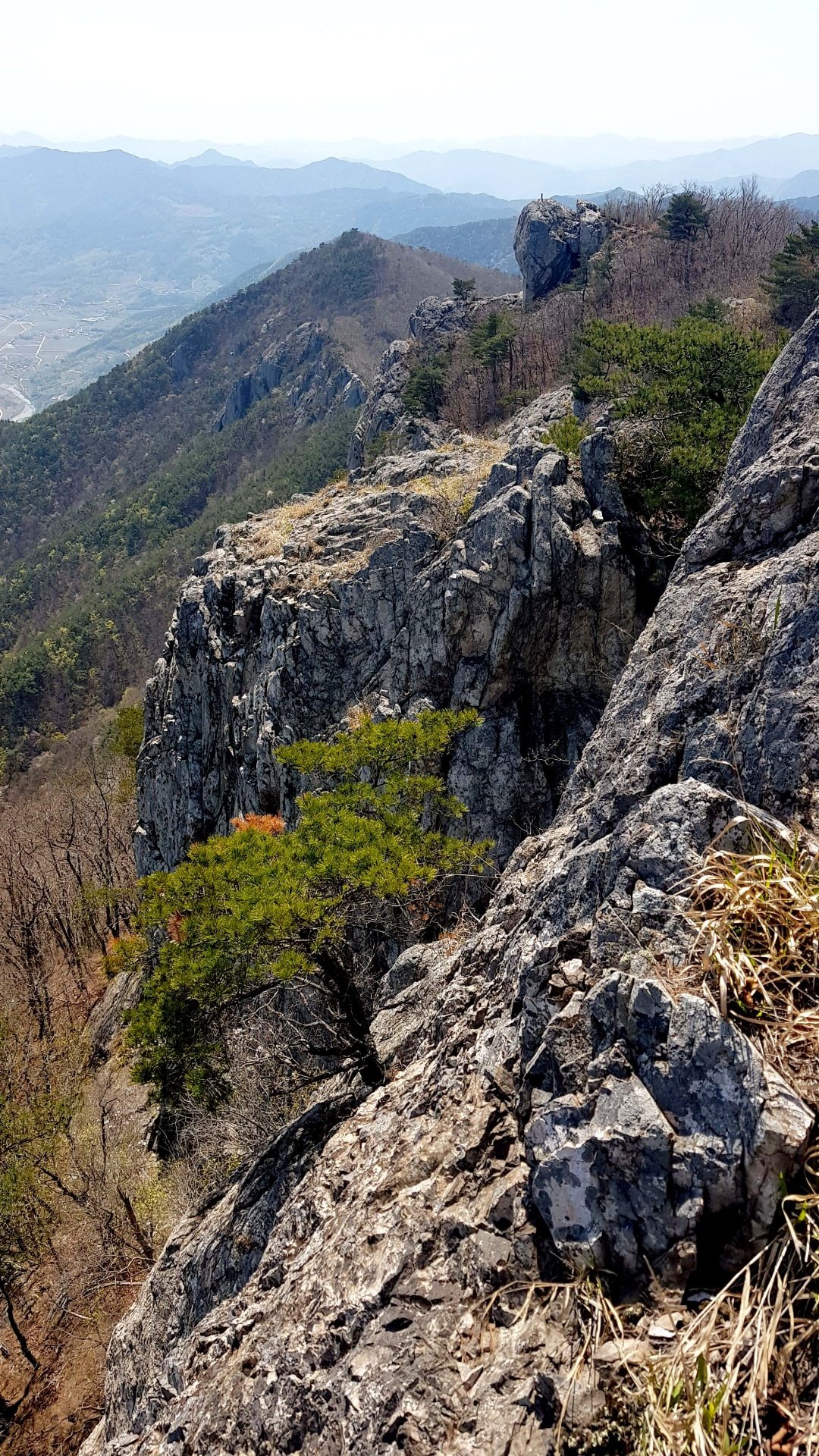 밀양 억산 운문산