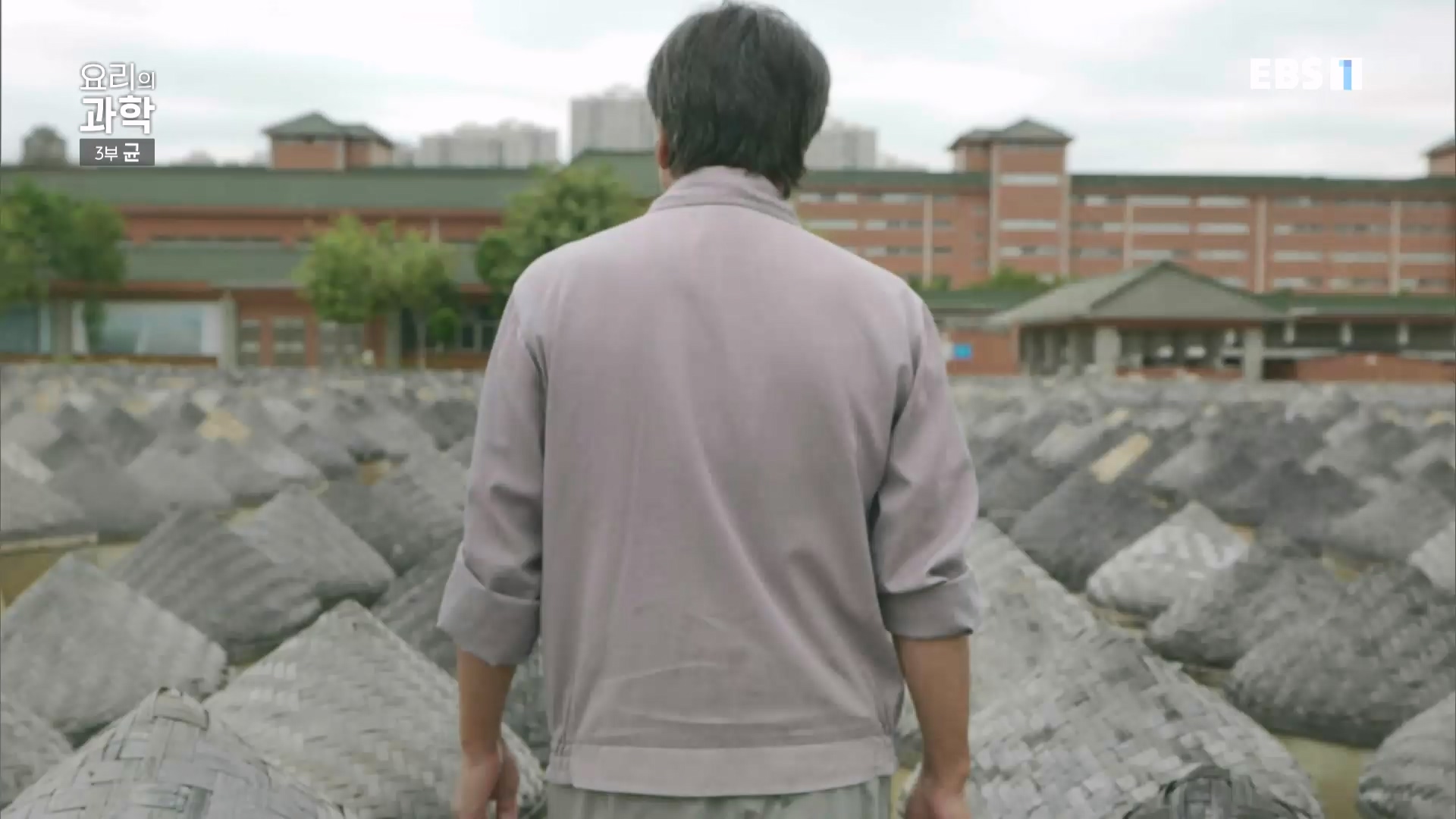 EBS 다큐프라임.201207.요리의 과학 - 3부 균0p.mp4_20240411_202627.881.jpg