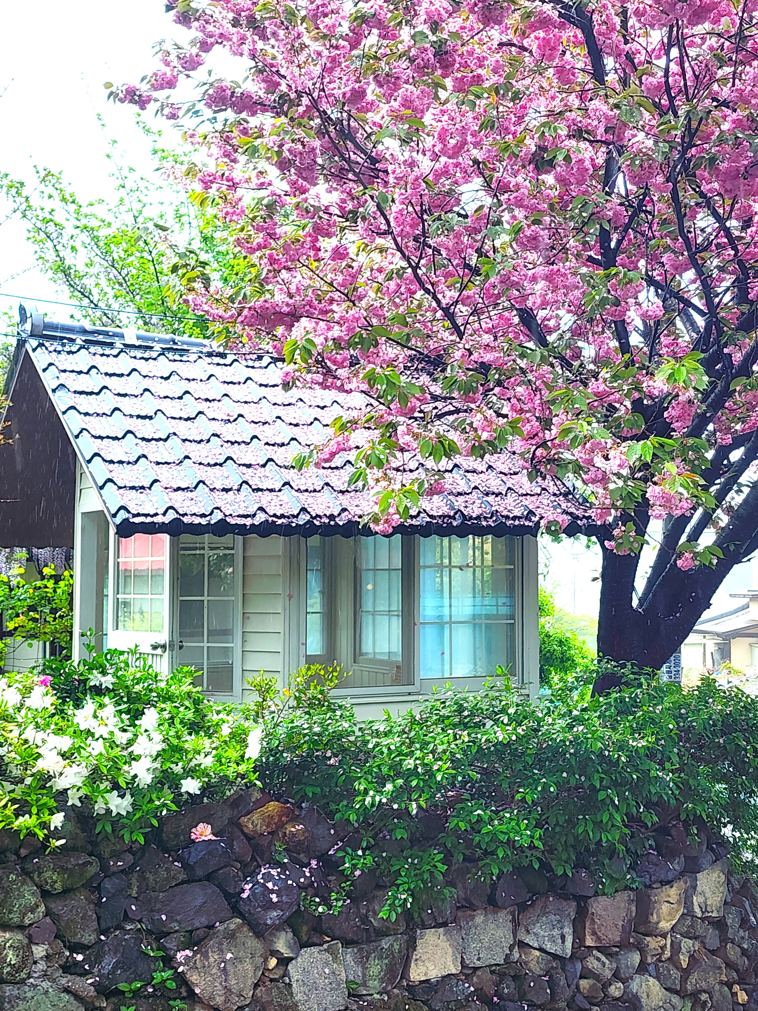 모하카페 이미지
