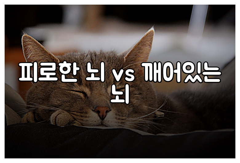 피로한 뇌 vs 깨어있는 뇌