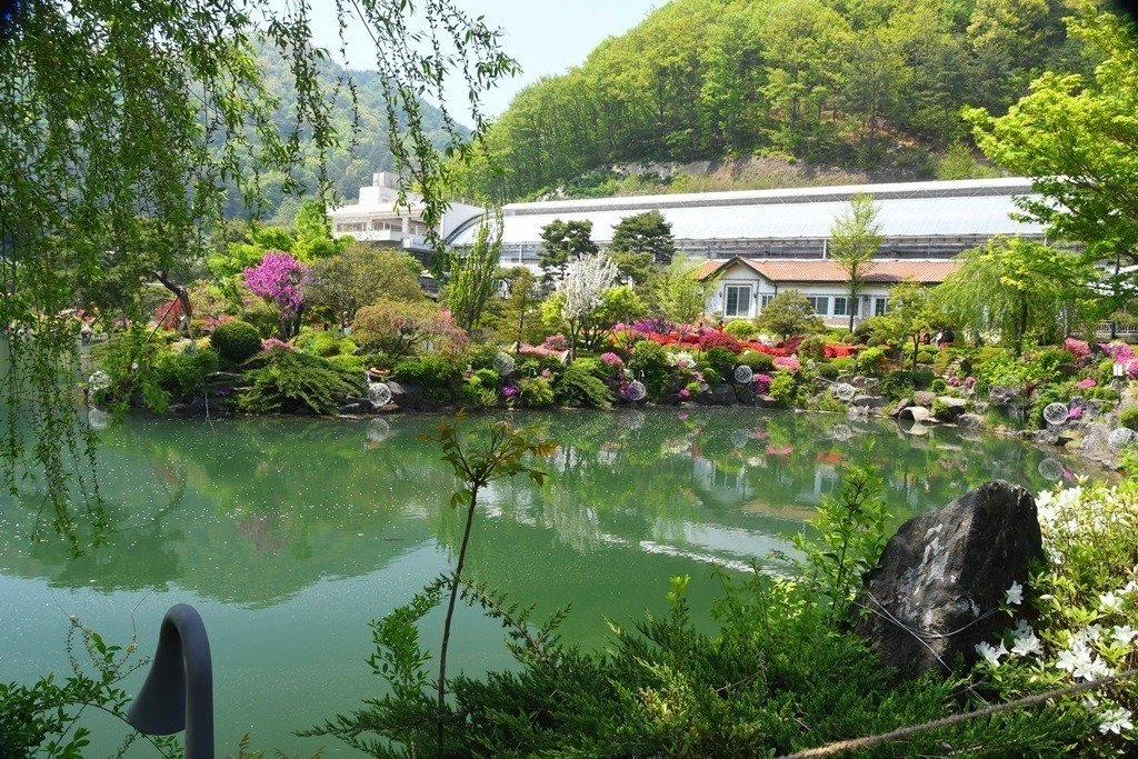 심수 이미지
