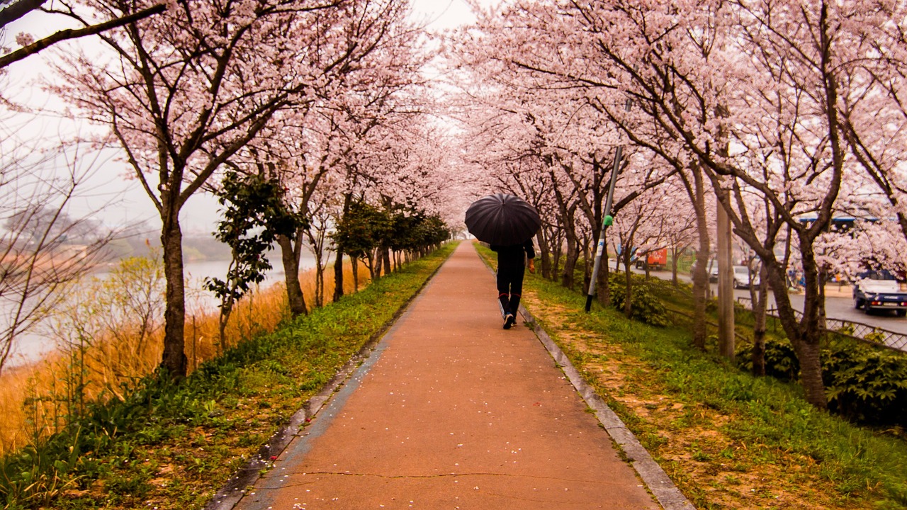 걷기운동 효과