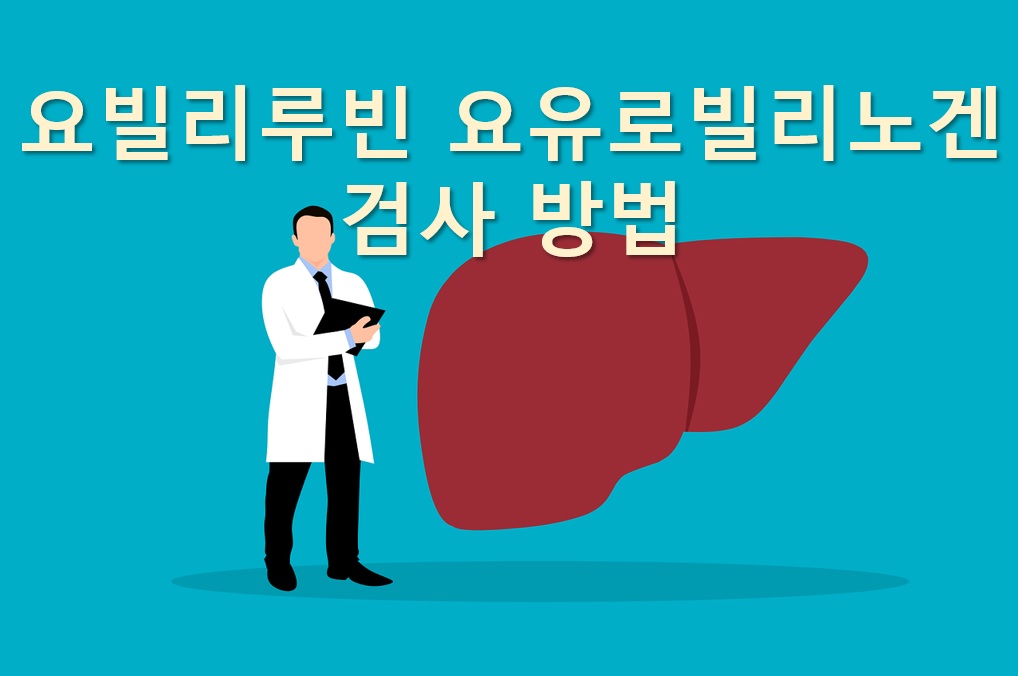  요 빌리루빈 검사와 요 유로빌리노겐 검사 방법과 정상 수치