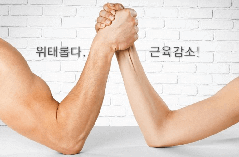 근육-감소-대조-사진