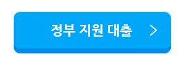 정부지원대출