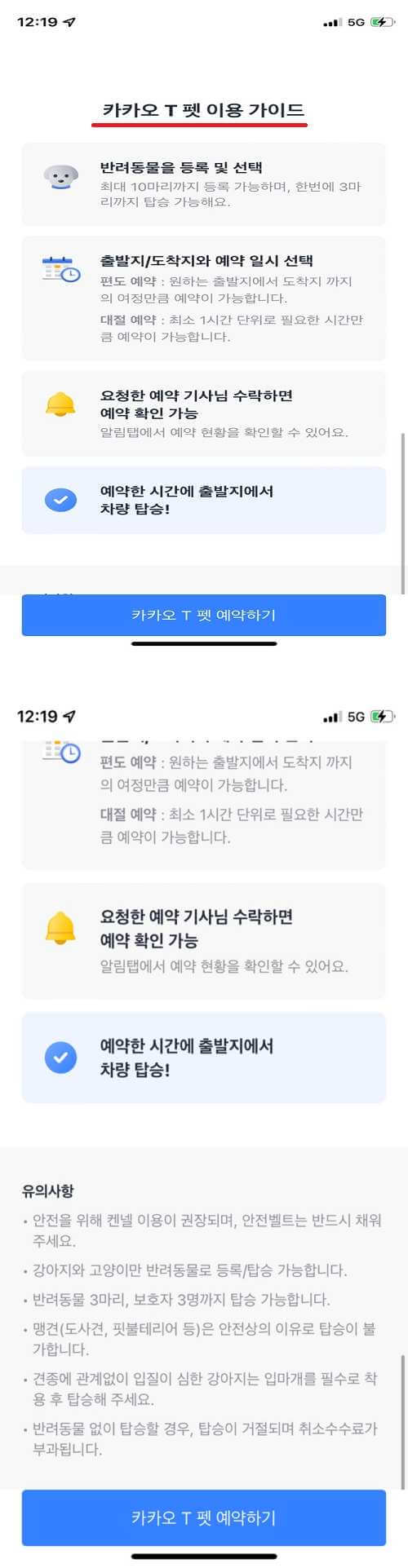 반려동물_택시_카카오t펫