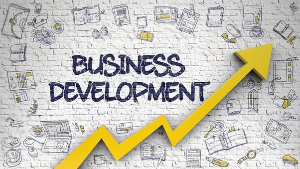 BD-PO-PM-business developer