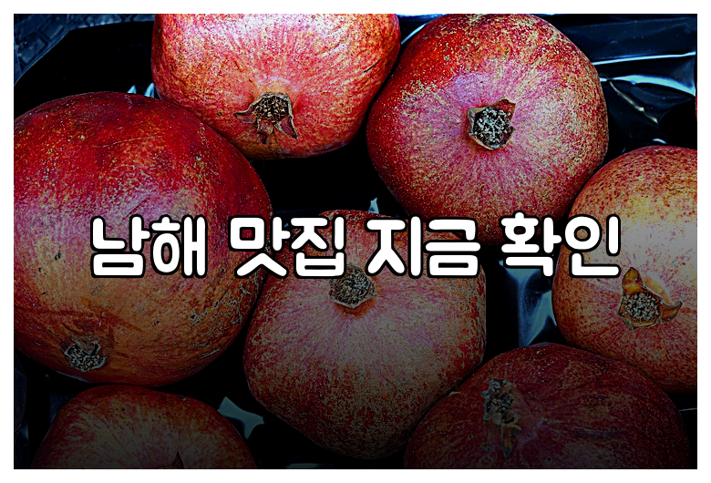 남해 맛집 지금 확인