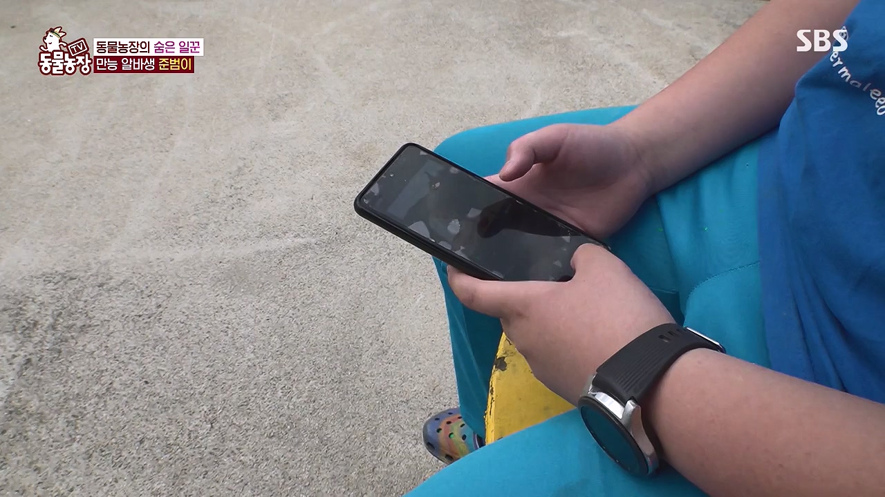 TV 동물농장.E1176.240617p-NEXT.mp4_20240616_171019.478.jpg