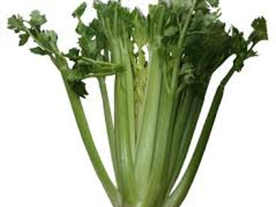 샐러리 효능 10가지 14