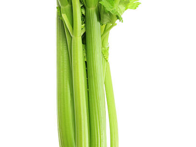 샐러리 효능 10가지 17