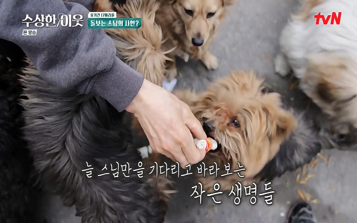 수상한 이웃.E04.220422p-NEXT.mp4_20220424_193034.093.jpg