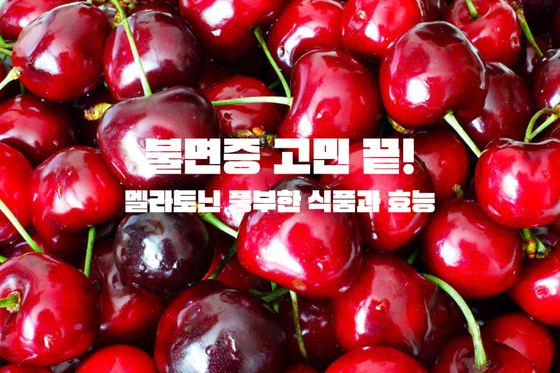 멜라토닌 풍부한 체리