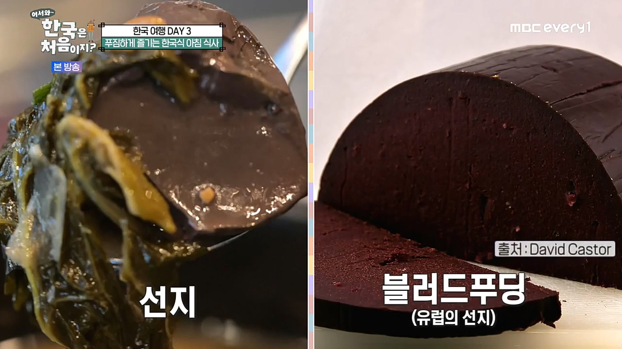 어서와 한국은 처음이지 시즌2.E241.221216p-NEXT.mp4_20221216_193214.195.jpg