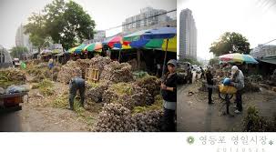 영일 이미지