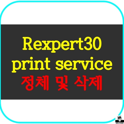 rexpert30 print service