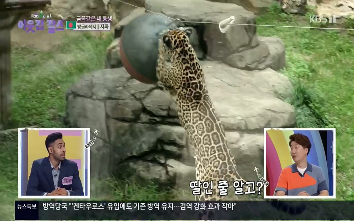 이웃집 찰스.E351.220824p.H264-F1RST.mp4_20220824_181112.426.jpg