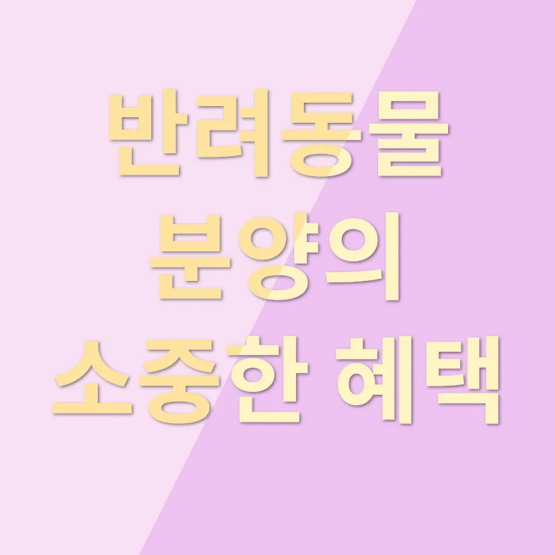반려동물 분양_2