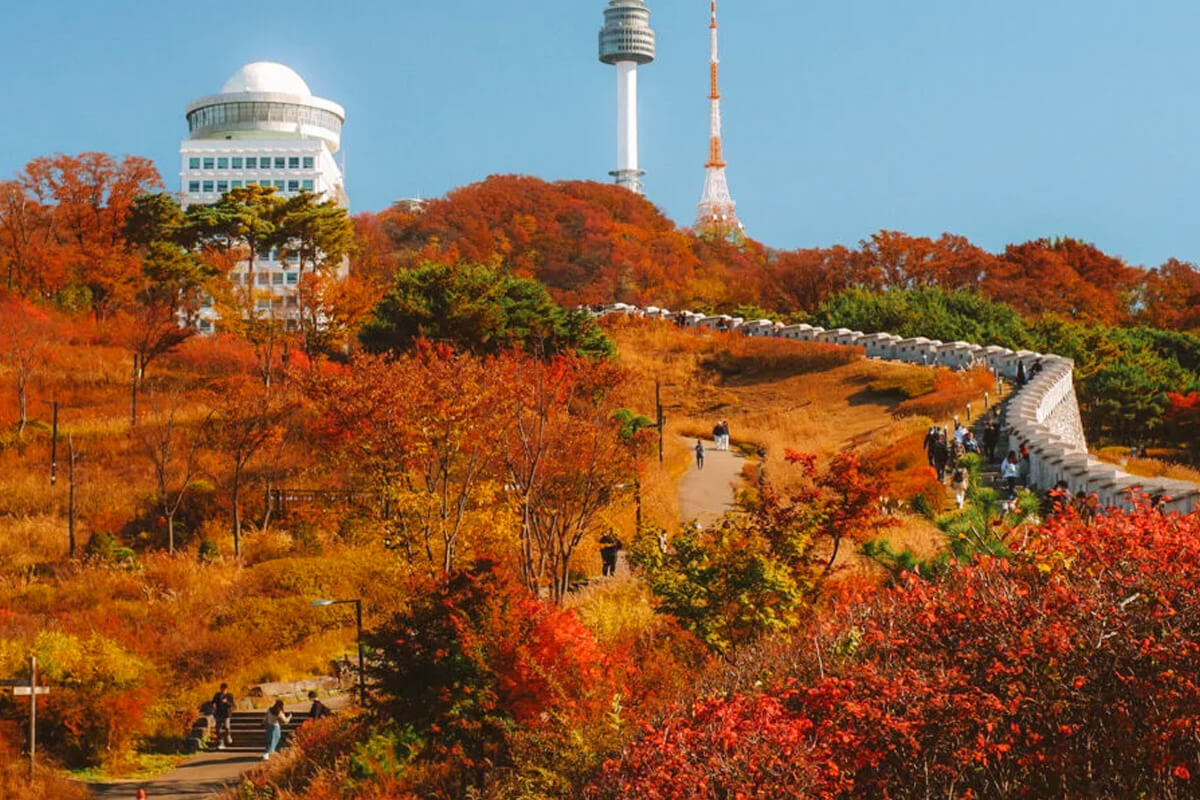 남산 케이블카