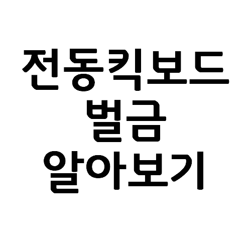  전동킥보드 탈 때 벌금 요금 총정리(종류와 벌점 없애는 법) & 운전면허, 헬멧, 음주, 자전거도로