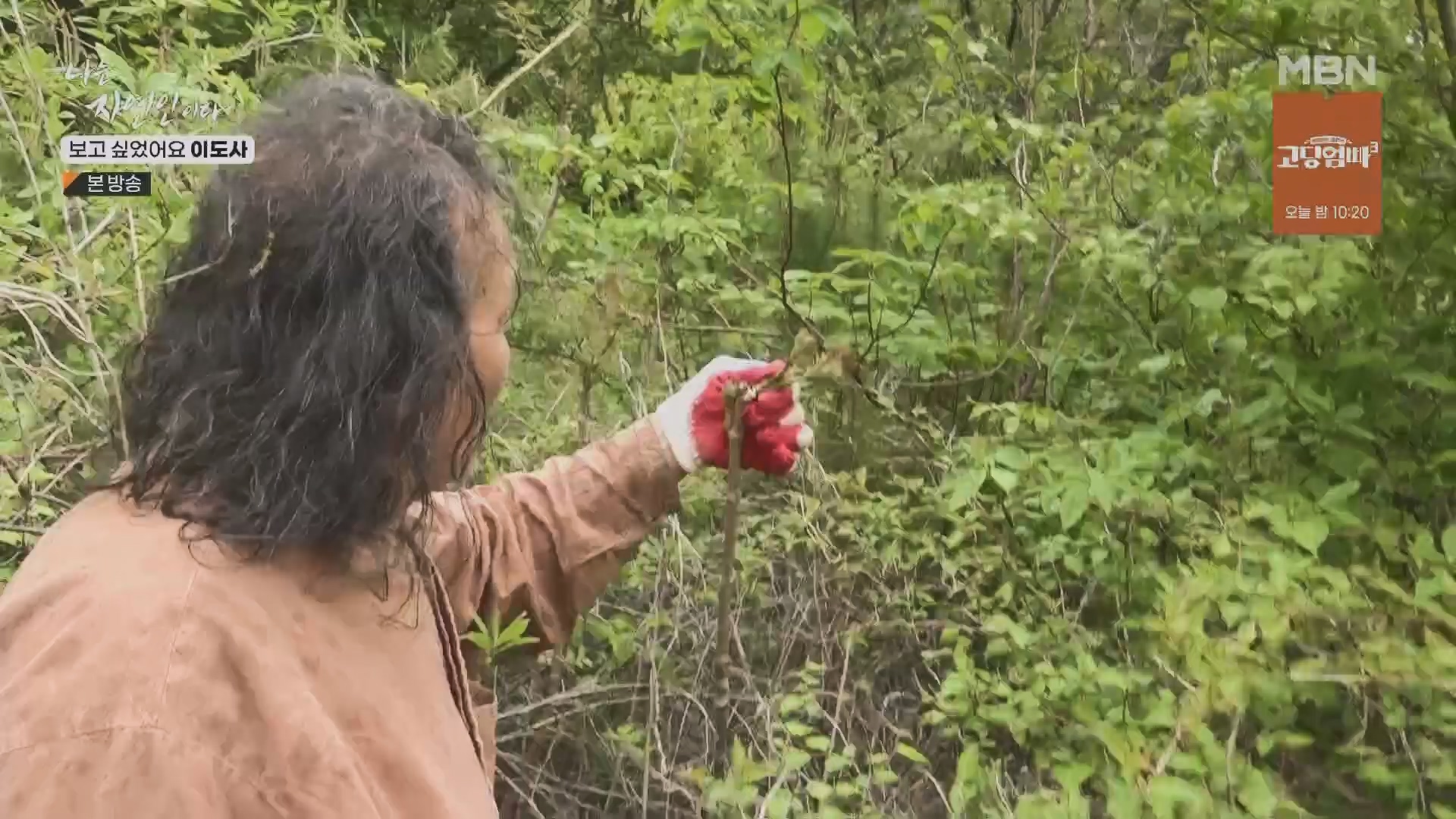 나는 자연인이다.E553.230510p.H264-F1RST.mp4_20230511_195234.654.jpg