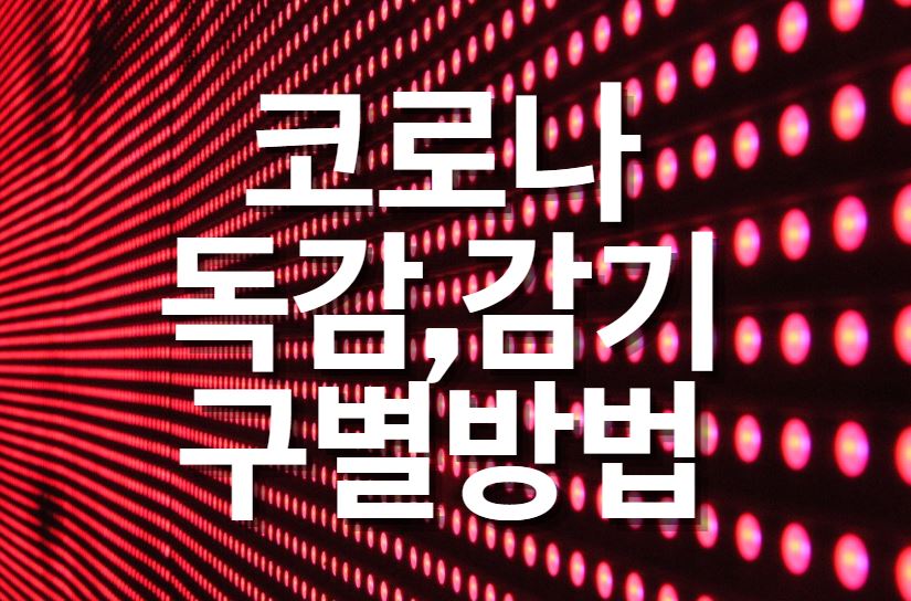  독감 , 코로나, 감기 구별하는 방법은? 백신은?