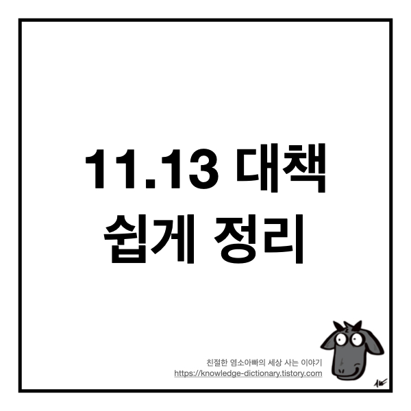  11.13 대책 쉽게 정리 (8천만 원 고소득자 1억 이상 신용대출 규제)