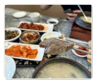 곰탕  꼬리곰탕 사골곰탕