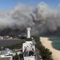 강릉 산불 사진