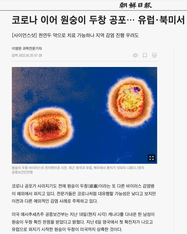 원숭이두창 공포 뉴스기사