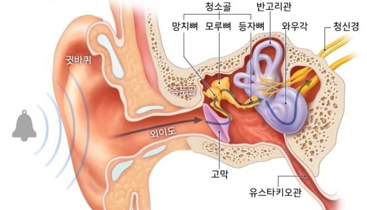  외이도염 원인 5가지 및 증상 8가지 , 예방법까지