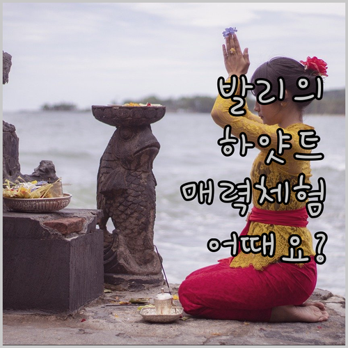 하얏트 리젠시 발리의 매력을 경험해보