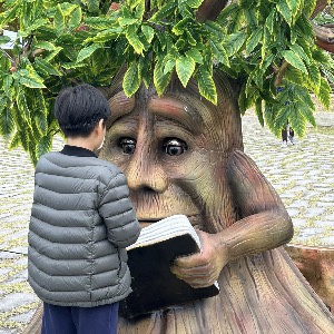 부산-단풍명소-부산시민공원