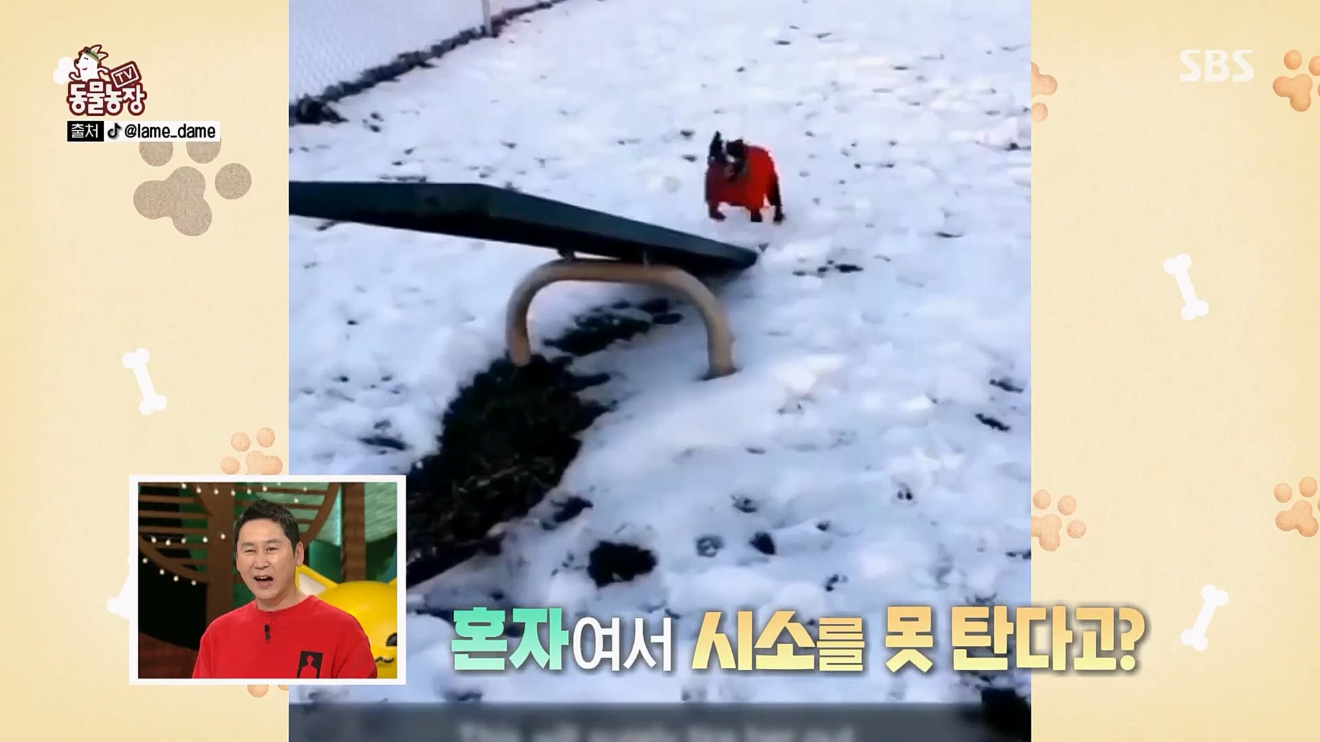 TV 동물농장.E1108.230212p.H264-F1RST.mp4_20230212_182130.683.jpg