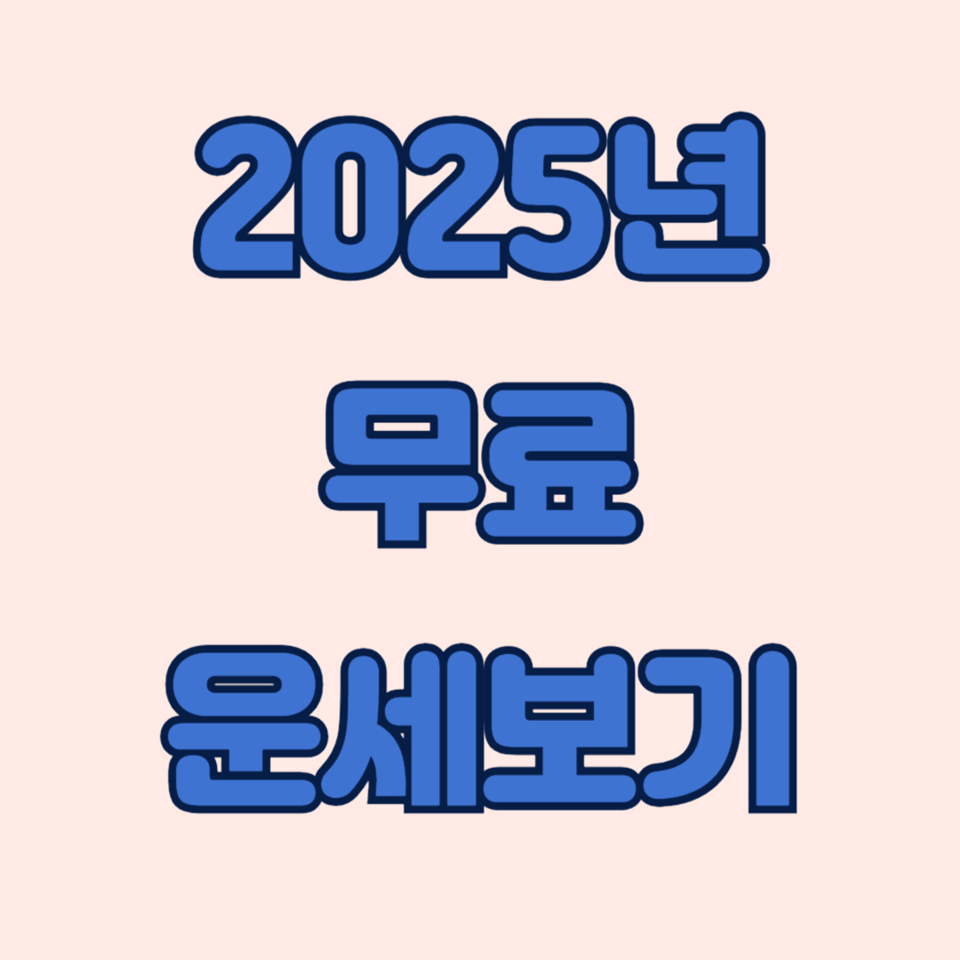 2025년 신년운세 무료토정비결