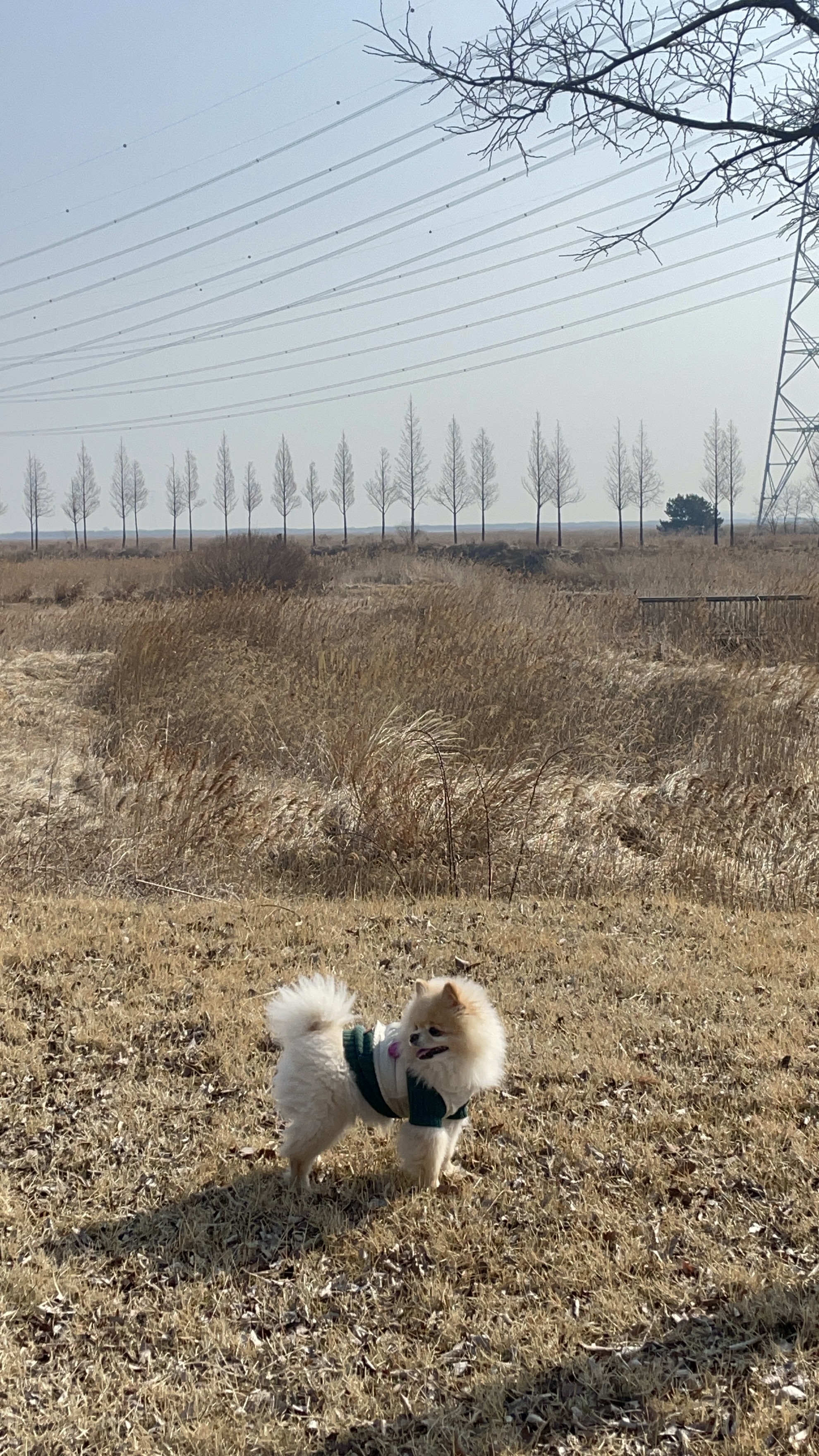 바다향기 이미지