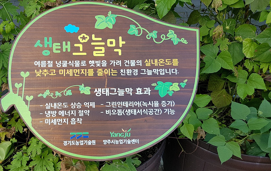 kbs1tv 다큐온 KBS1TV // 회천3동 생태그늘막 2