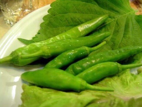 생생정보 할매 밥 됩니까 대구 옥포 시래기된장찌개 맛집 솔밭생수식당