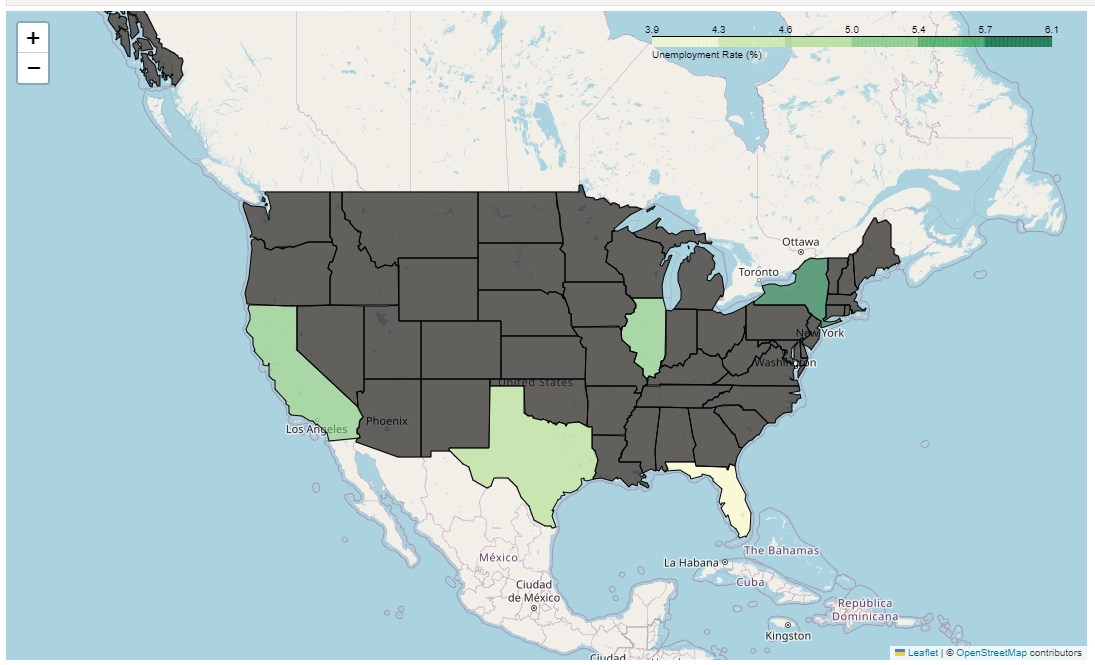 USA CHOROPLETH