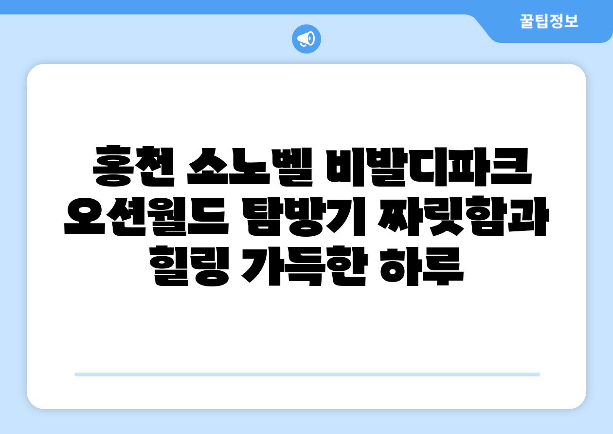  홍천 소노벨 비발디파크 오션월드 탐방기 짜릿함과 힐링 가득한 하루