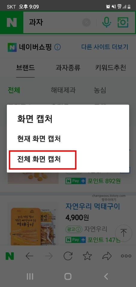 전체-화면-캡처-항목