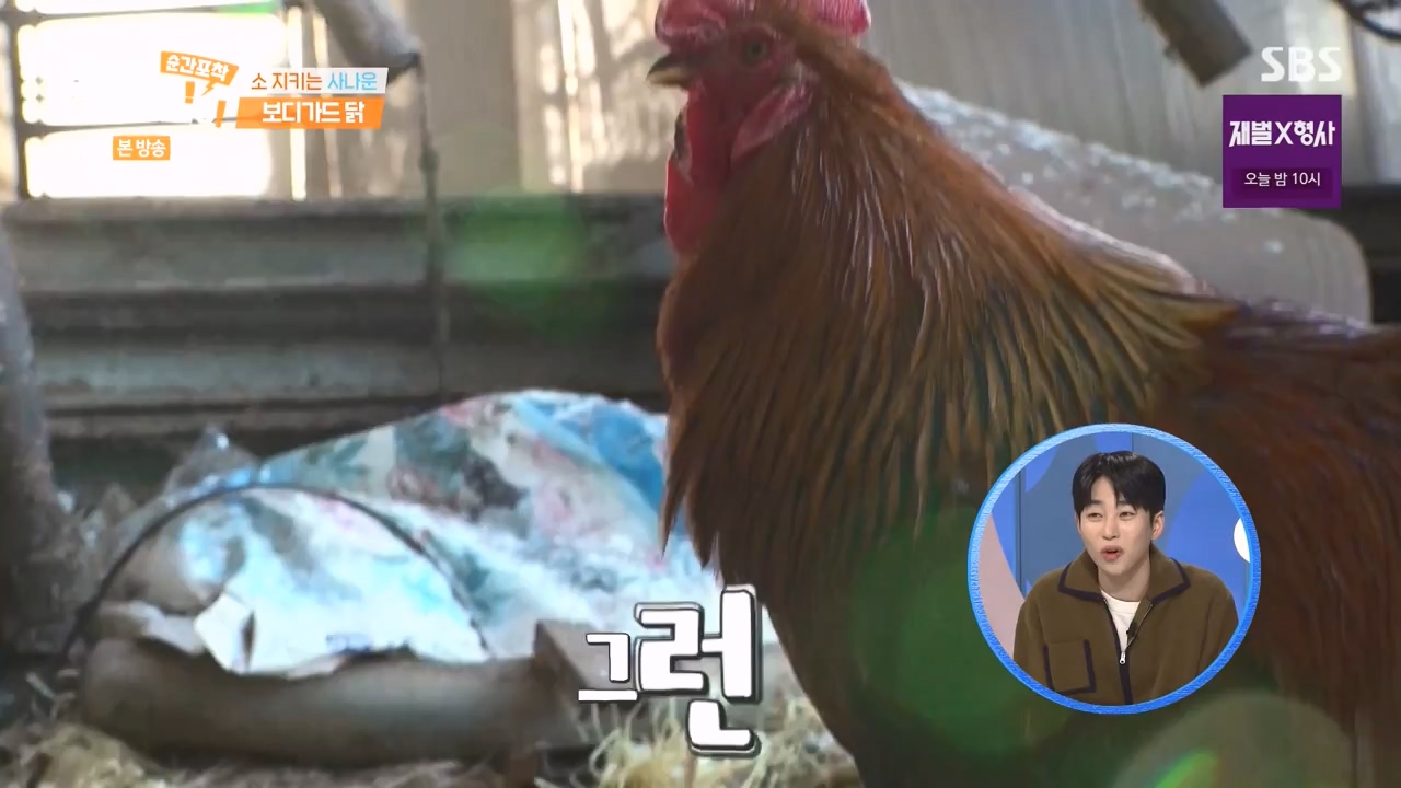 순간포착 세상에 이런일이.E1262.240128p-NEXT.mp4_20240128_184855.690.jpg