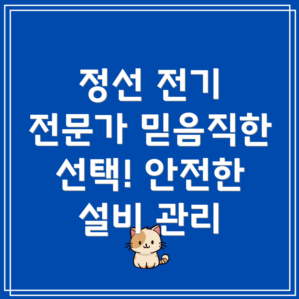 정선 신동읍 전기 수리