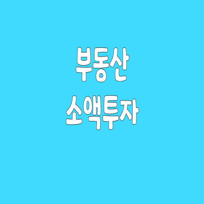  부동산 소액투자
