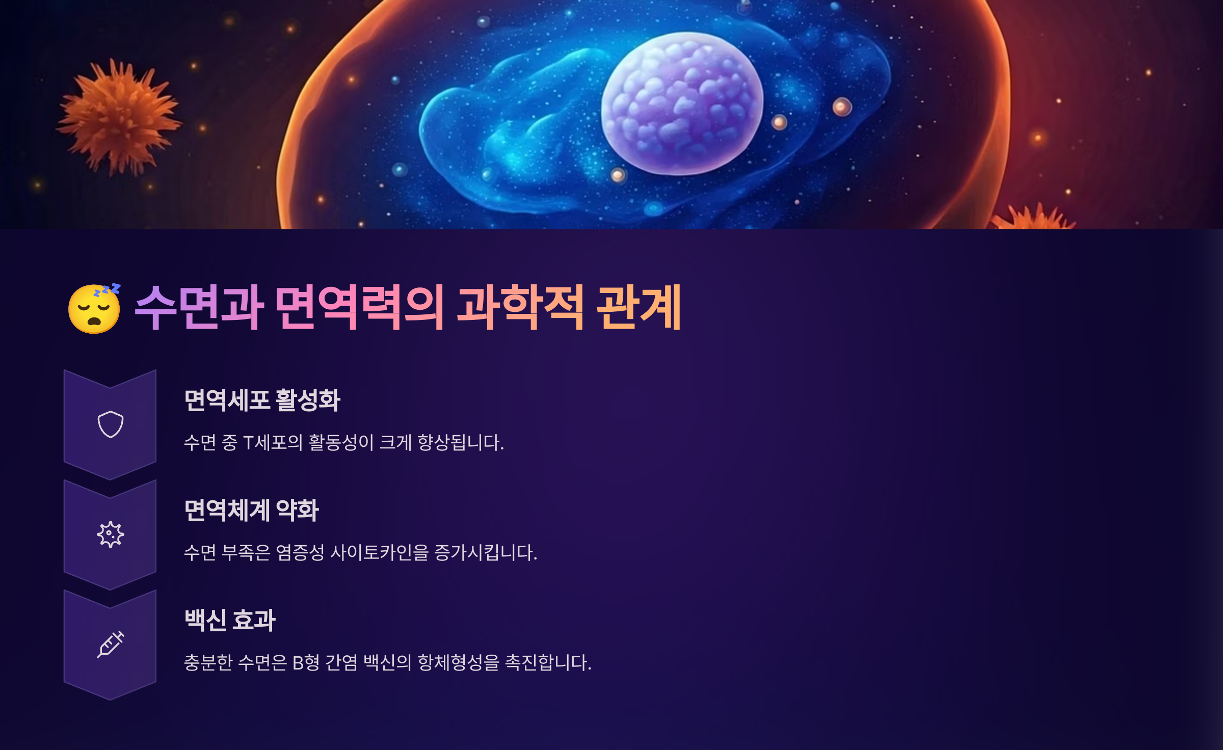 수면과 면역력의 과학적 관계