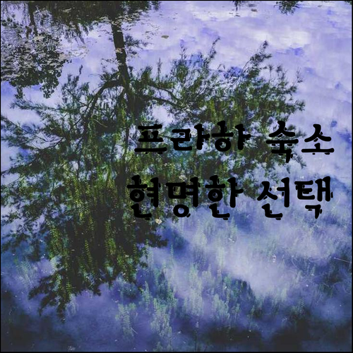 프라하 숙소 예약 전 필독 6곳의 장