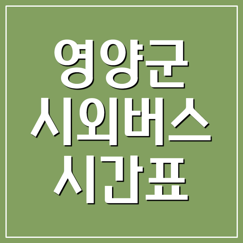  영양군 시외버스터미널 시간표 정보