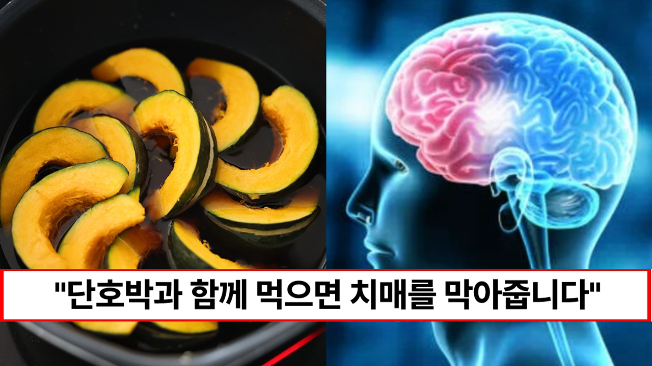 “단호박 이것과 함께 드셔보세요” 떨어지던 기억력이 되살아나고 죽어가던 뇌세포가 회춘하는 치매예방 식재료 1가지 “단호박 이것과 함께 드셔보세요” 떨어지던 기억력이 되살아나고 죽어가던 뇌세포가 회춘하는 치매예방 식재료 1가지