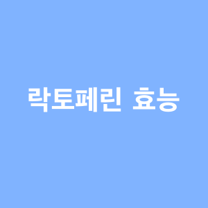 락토페린 효능