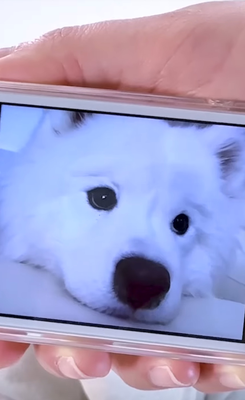 현직 돌팬이 취업한 것 같은 소속사 | 인스티즈